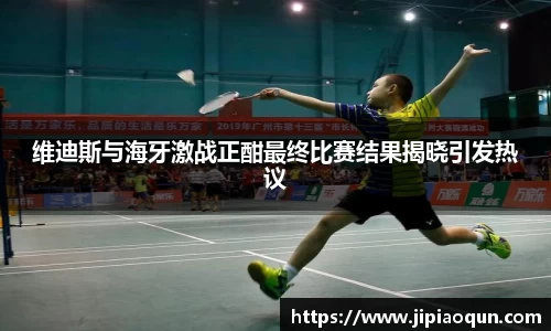 维迪斯与海牙激战正酣最终比赛结果揭晓引发热议